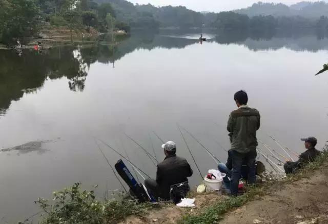 周末自驾采摘一日游,周末自驾游误入一个世外桃源