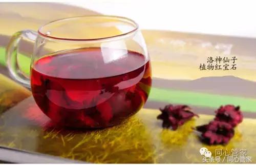 绞股蓝和什么茶一起泡水调理三高,三高调理茶的作用与功效是什么