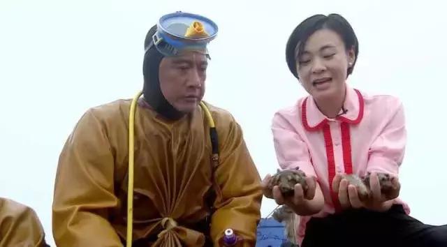 秦始皇长岛,蓬莱仙岛秦始皇