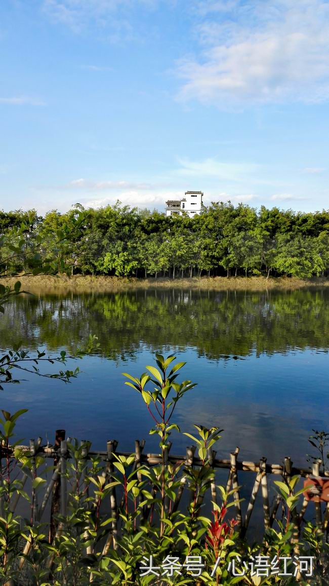 尼苏小镇打卡地,尼苏小镇是哪里