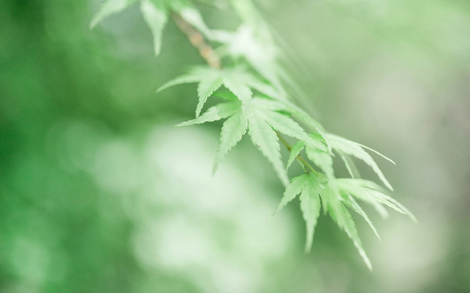 2018厦门大学考研：探讨考研的几大优势