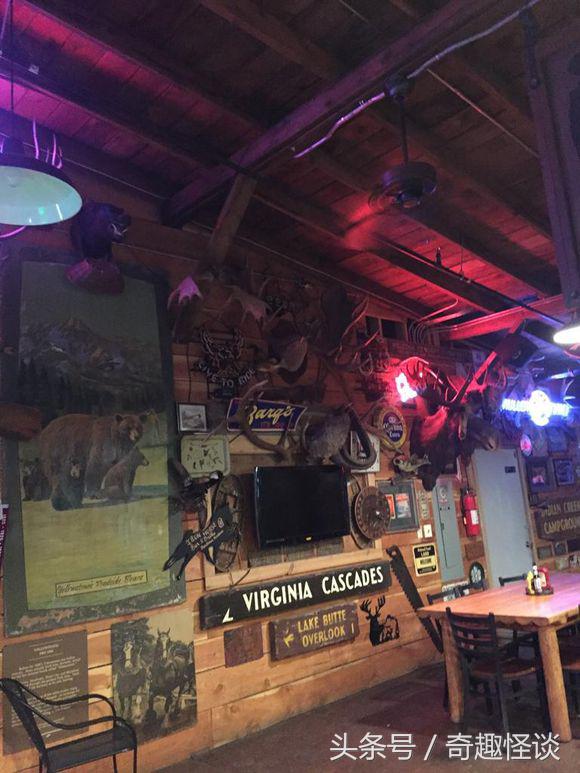 在美国旅游日常,在美国旅游攻略大全最新