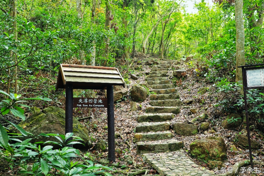 行麦径风景时宿轻沙绵风中