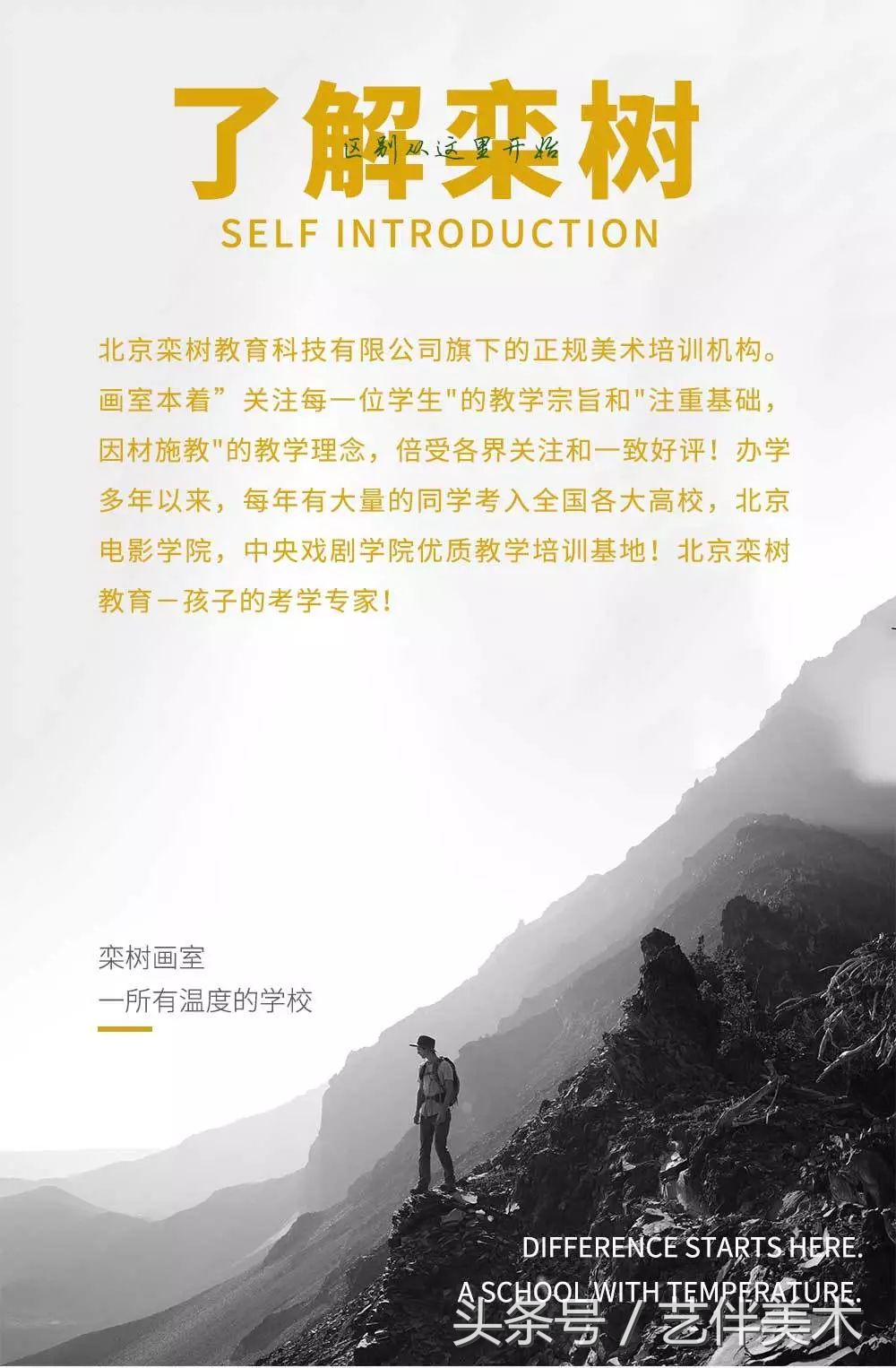 栾树画室北京,栾树画室