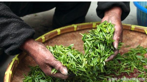 夏日农村风景的句子,夏日炎炎的最佳好句