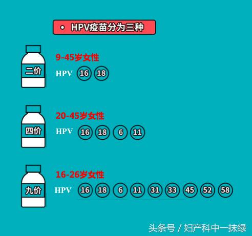 二价四价九价的hpv疫苗有什么区别,四价和九价hpv疫苗有什么不同图片