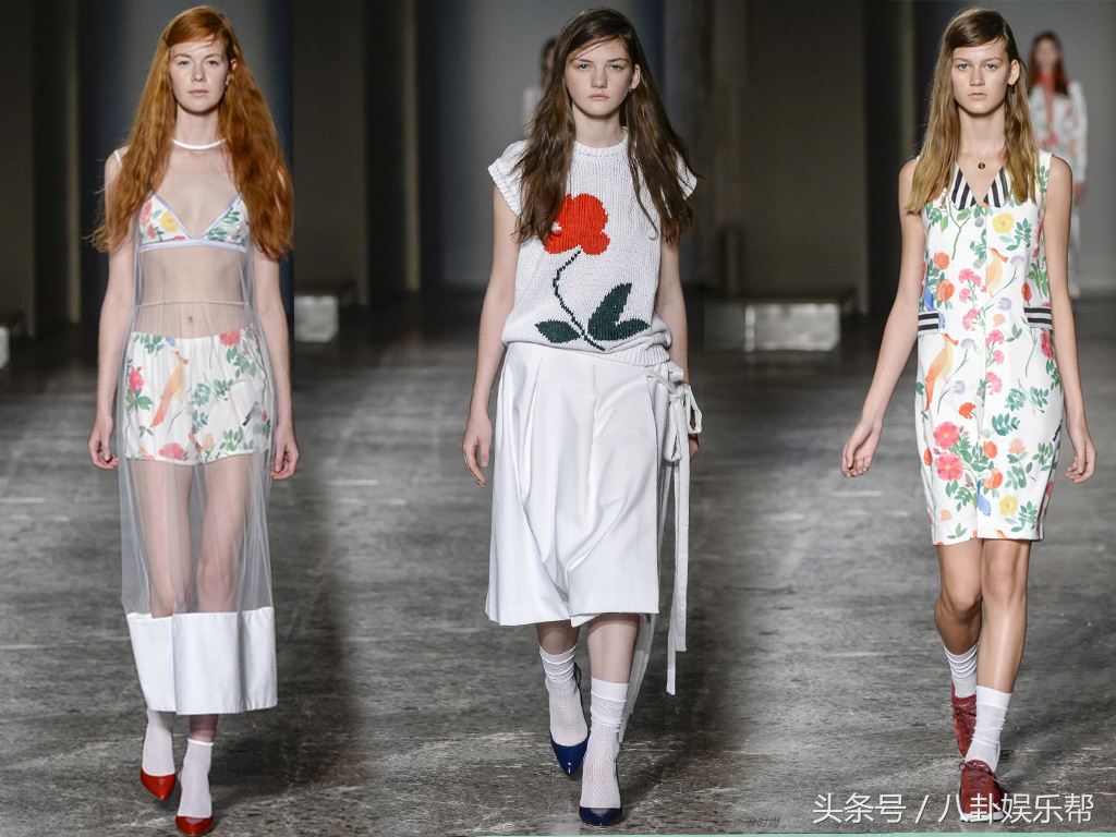 站在食物链最顶端的是什么,站在食物链顶端永远是高层