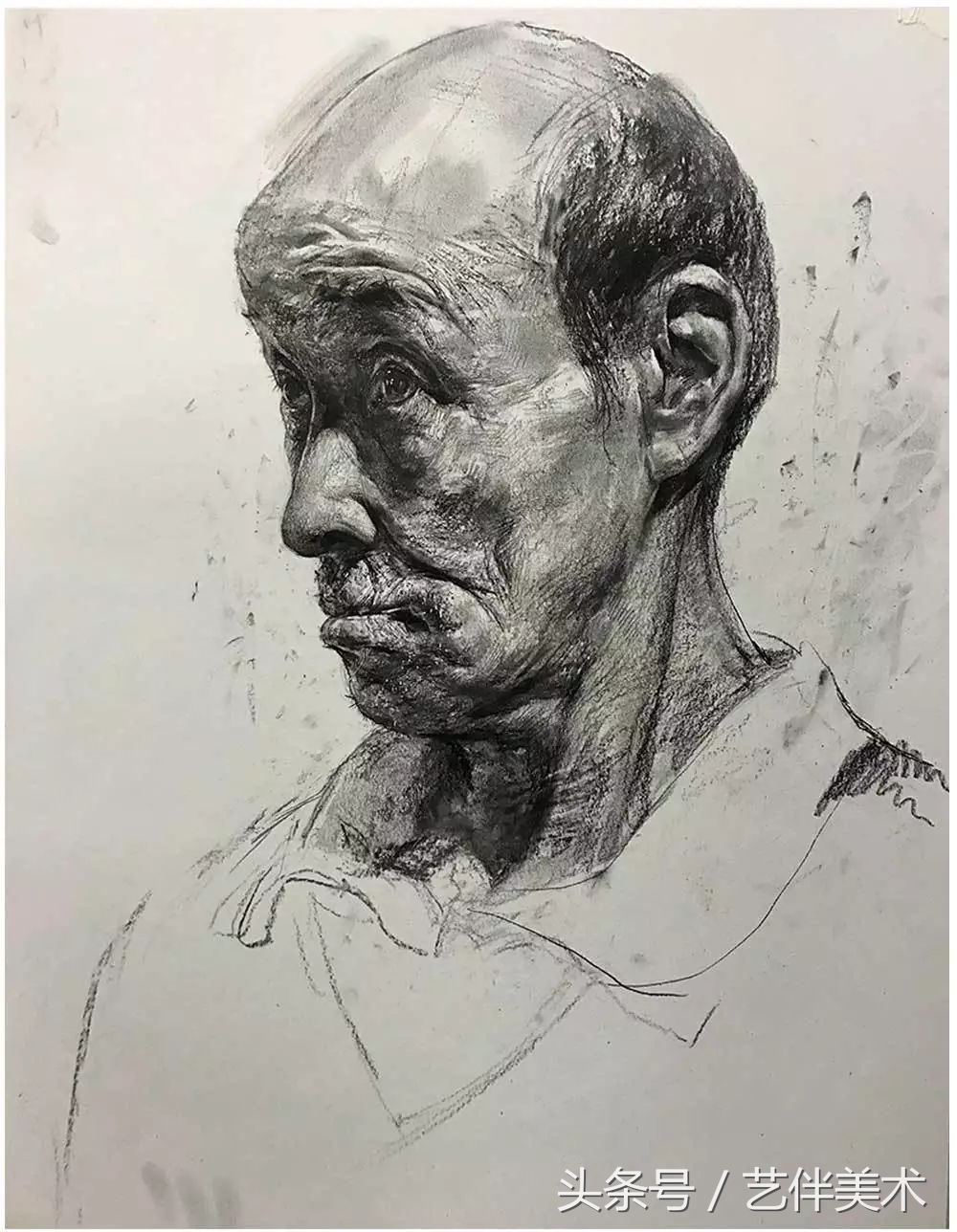 栾树画室北京,栾树画室