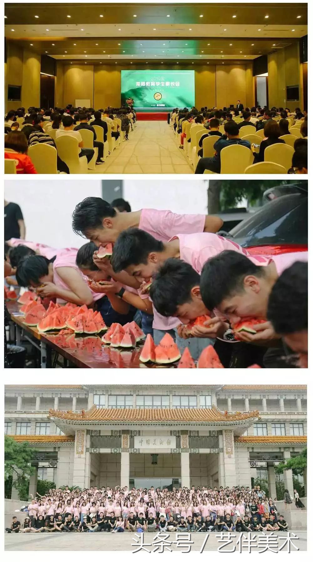 栾树画室北京,栾树画室