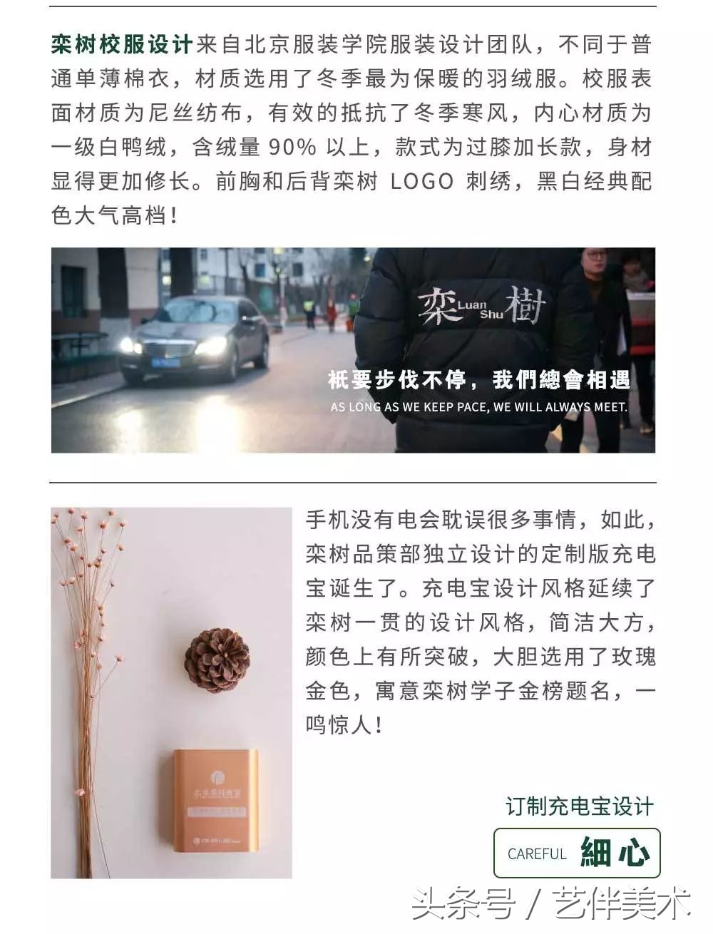 栾树画室口碑怎样,栾树画室地址在哪里