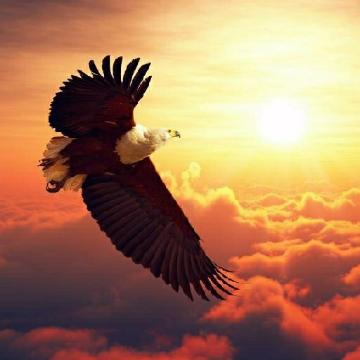 告别死工资手把手教你理财,告别死工资自己做副业