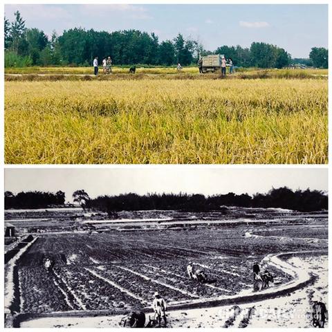 小岗村揭开中国农村改革序幕,小岗村给农村改革带来哪些启示