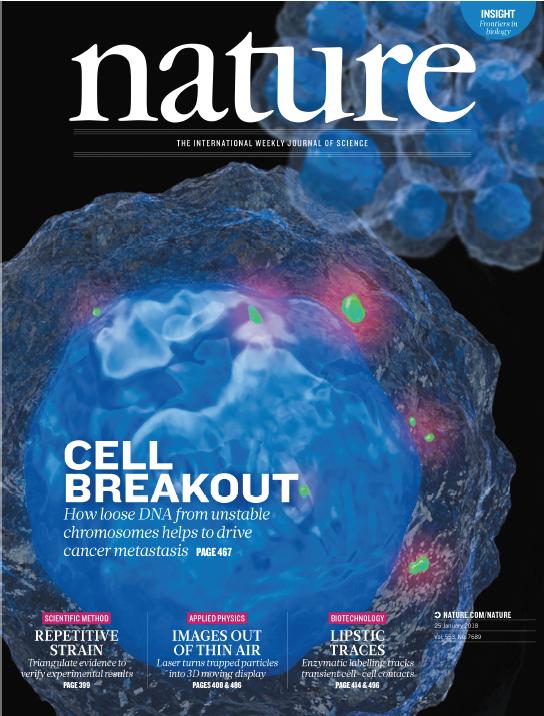 男性隔多久一次精子质量好,男性精子质量多长时间能最好