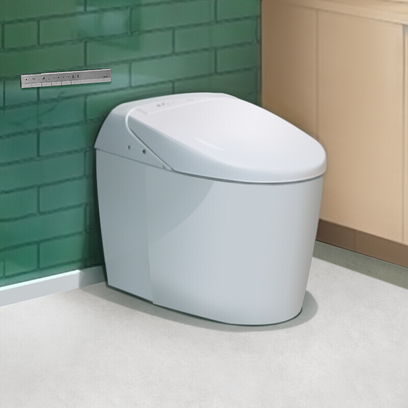 洋品牌马桶,马桶国外天价