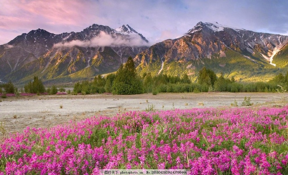 自媒体文章收益,自媒体文章投放收益怎么样