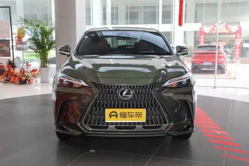 哈曼卡顿极星2,极星哈曼卡顿