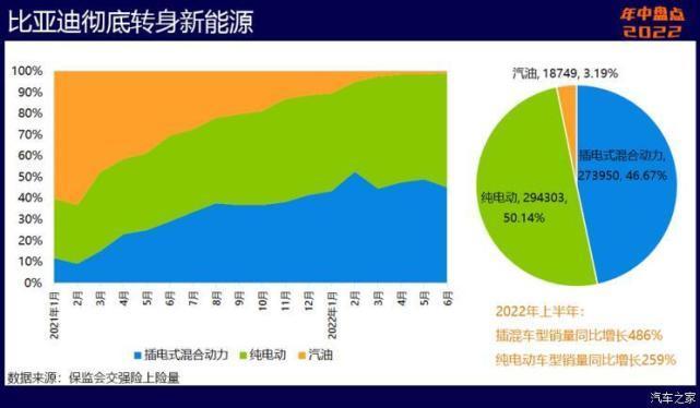 2022年国内各品牌销量,中国这两年崛起的品牌