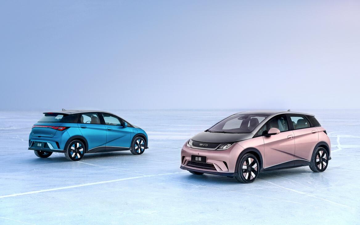 国产汽车各车型排行榜,国产汽车备受争议的车型