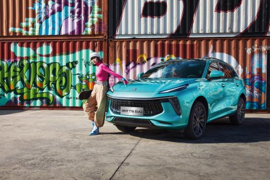 风行t5evo网络连接,风行t5evo有应用商店吗