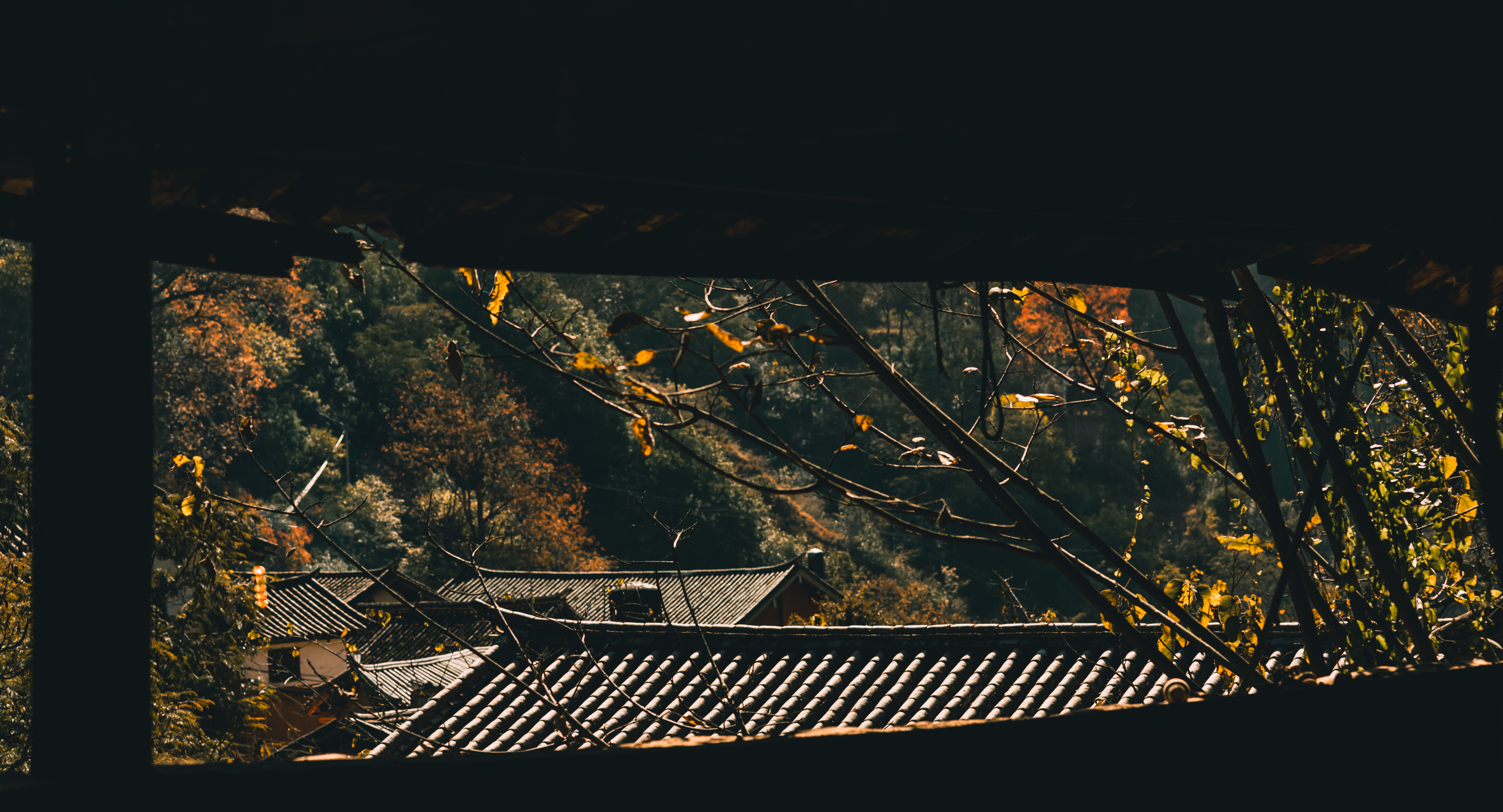 ABO血型系统分型依据是什么？你是什么血型？