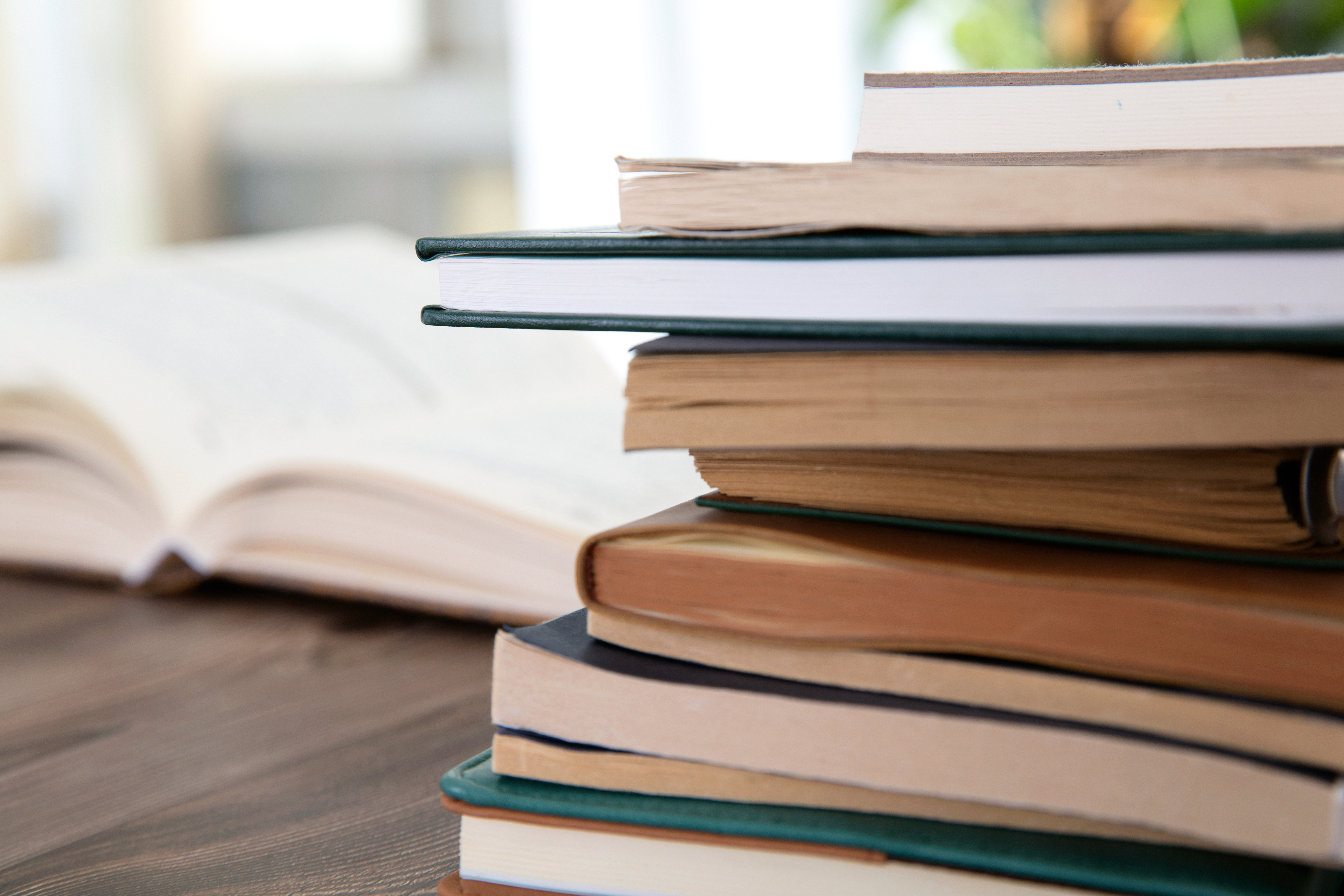 盗用他人公司名称要承担何种责任？