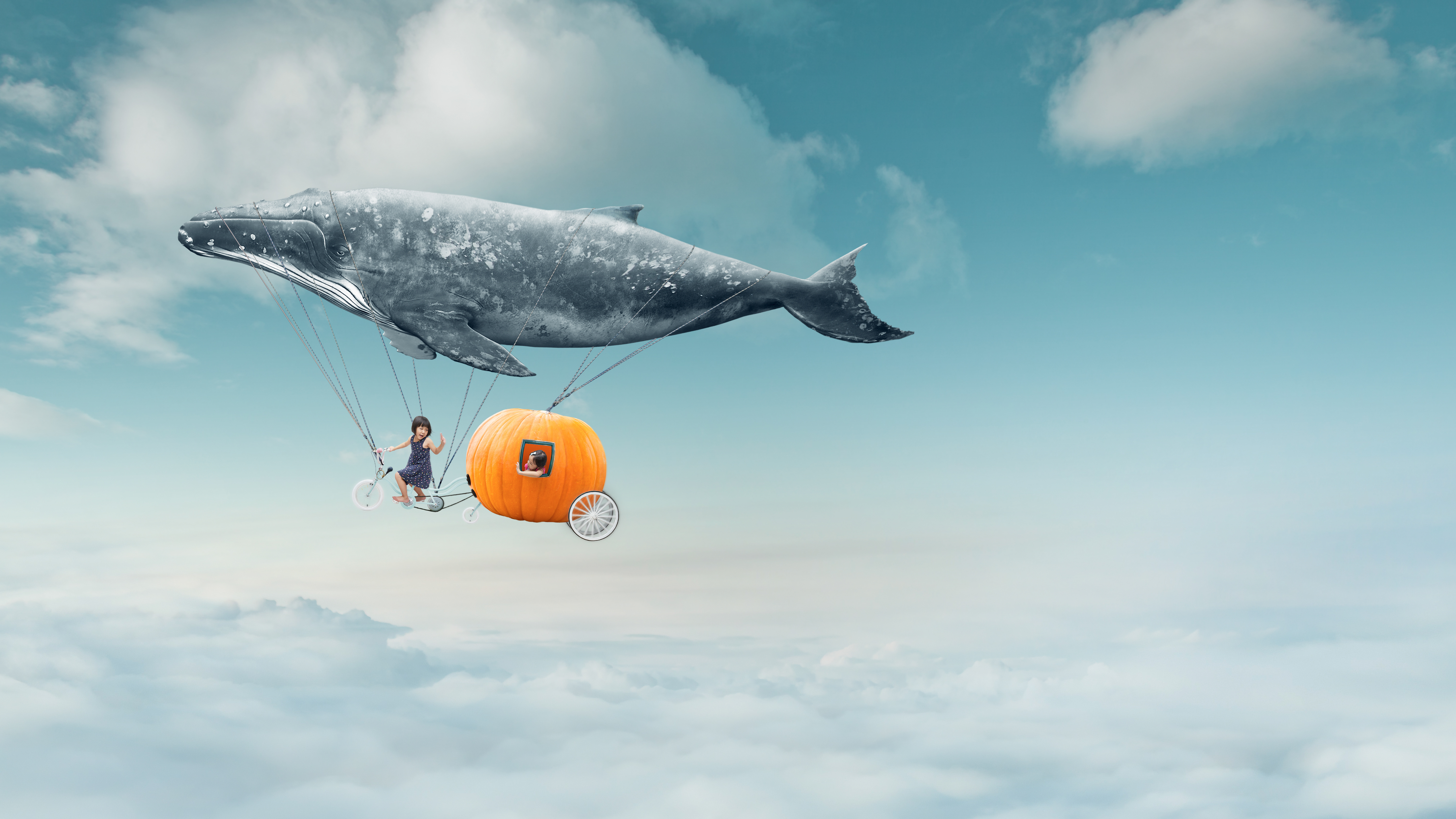 全民转职小说要怎么写,全民转职我成了唯一隐藏职业