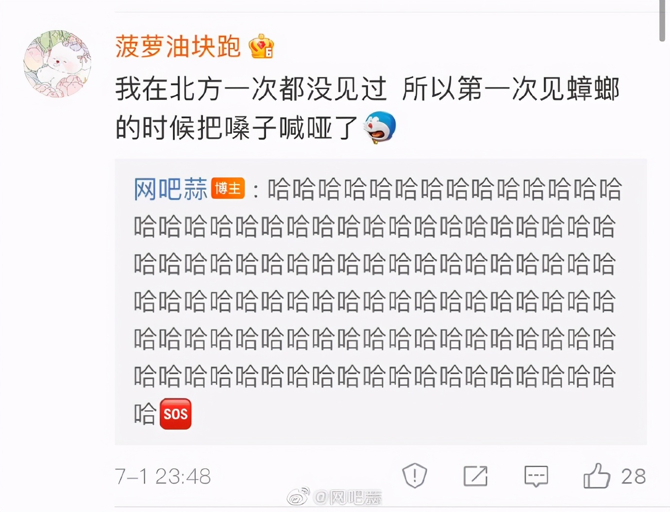 被意大利人骂了这么多年，原来是冤枉的丨互联网冲浪手册