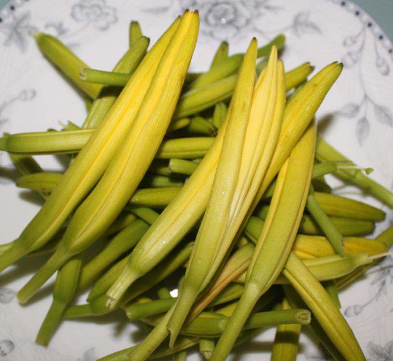 上等的山珍,上等山珍国宾菜