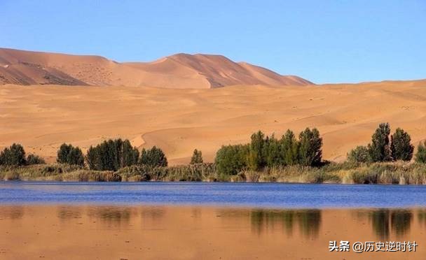 第一大沙尘源地阿拉善，骆驼养殖数量连年增长，背后有哪些隐忧？