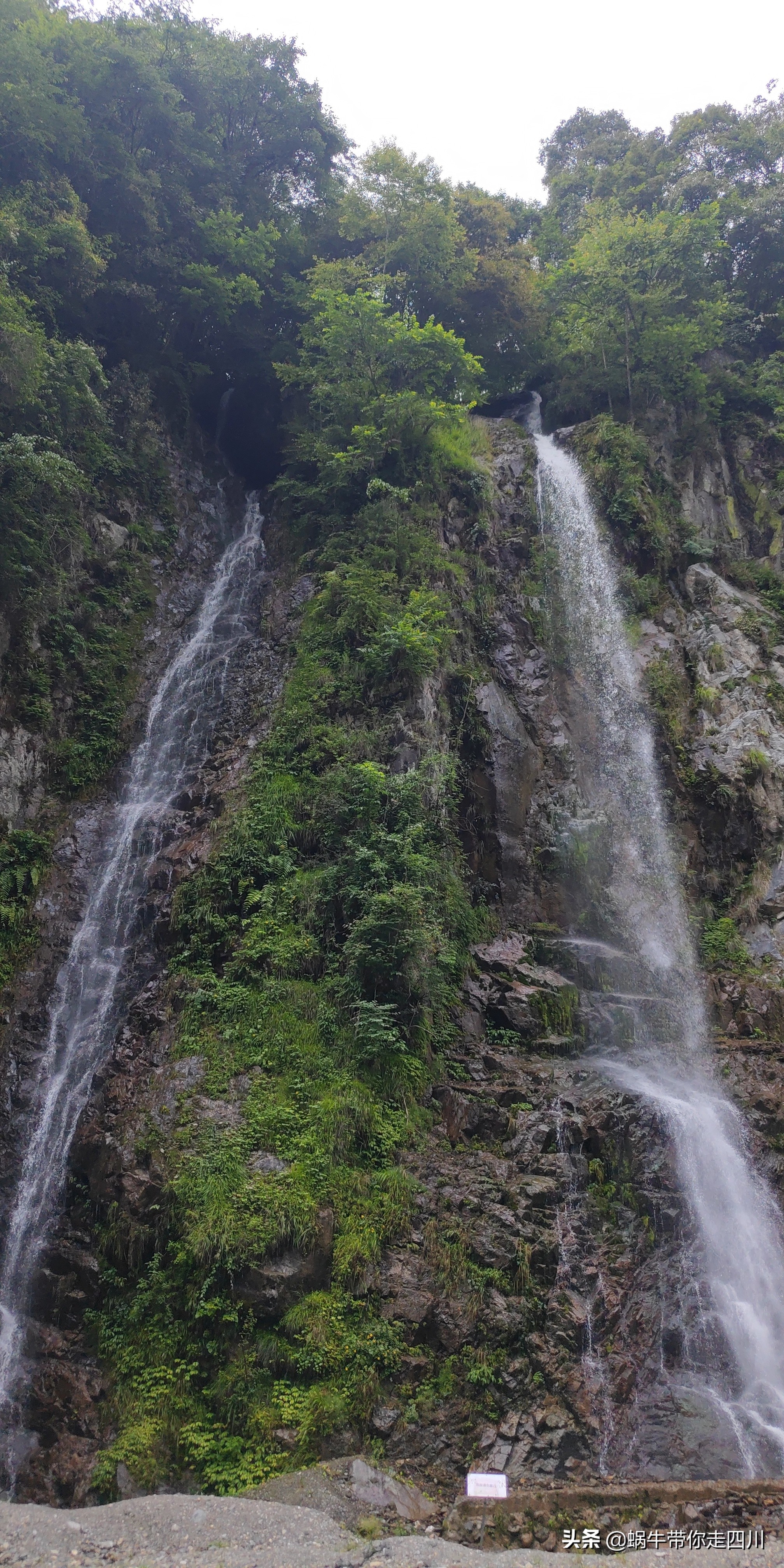 成都到西藏旅游一家三口,成都出发三天两夜旅行套票