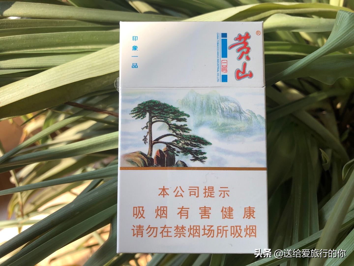 一支香烟飘在空中,一支烟去环游世界