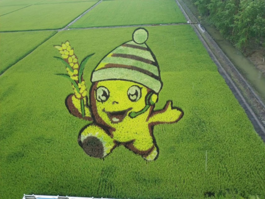 濡備綍鍋氬ソ濠氬墠璐骇闅旂,鎬庢牱鍋氬ソ濠氬墠璐骇闅旂