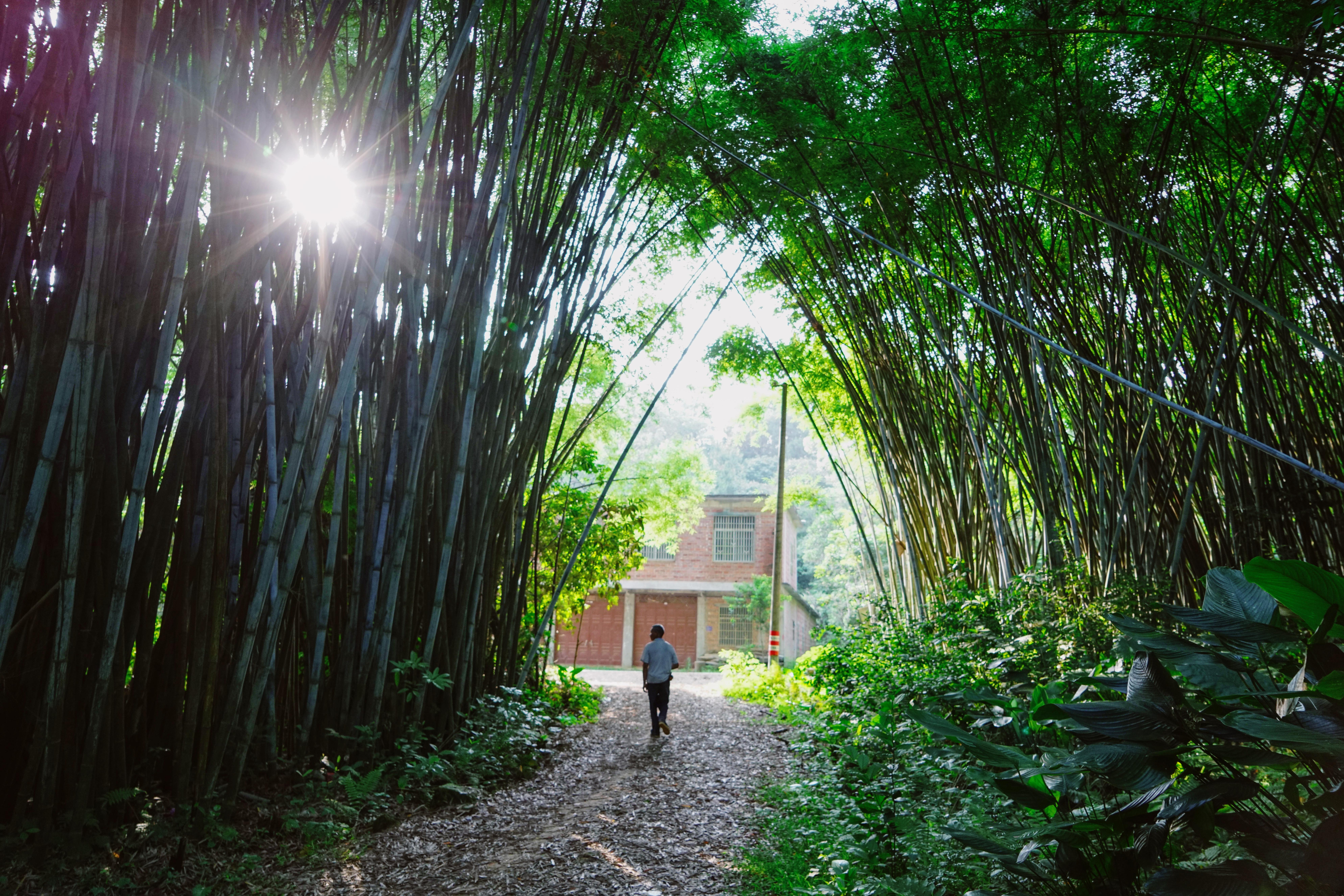 广西十岁百香果女童遇害案过程,广西百香果女孩遇害案进展
