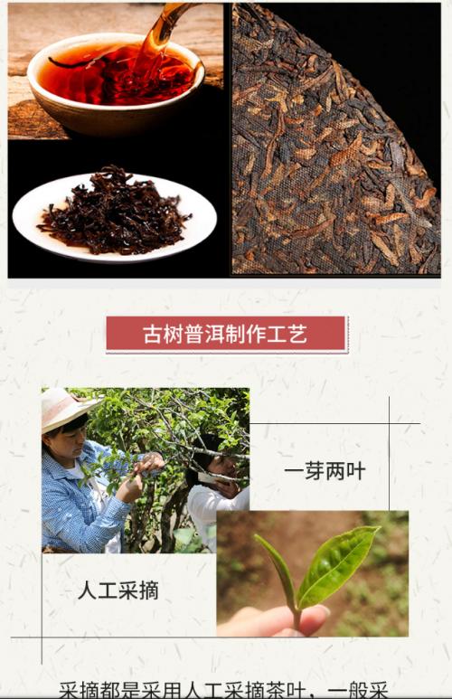 普洱凤凰熟茶,普凤凰香竹箐熟茶