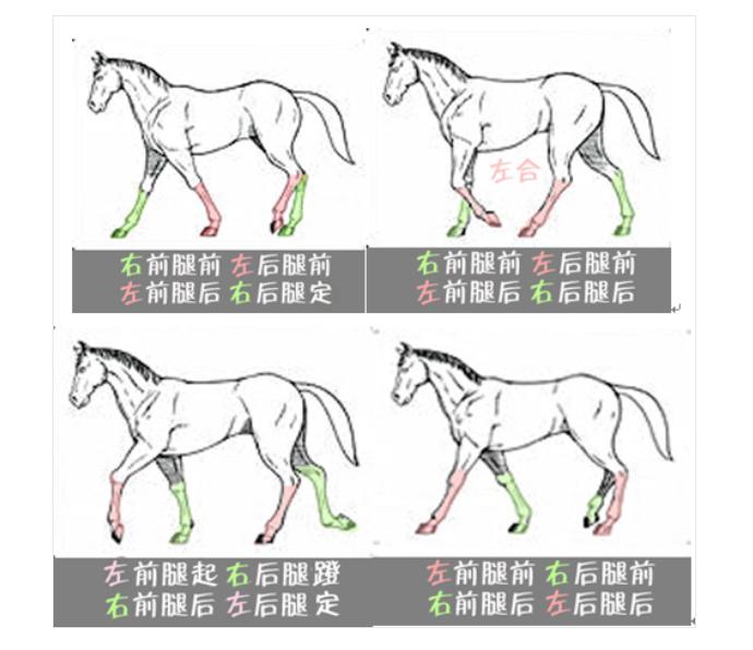 辽宁博物馆虢国夫人在几层,虢国夫人图辽宁博物馆几楼