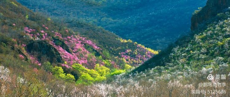 赤峰日报蒙古文,赤峰日报2005