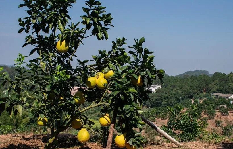 大阳150踏板摩旅进藏,大阳adv150长途摩旅西藏