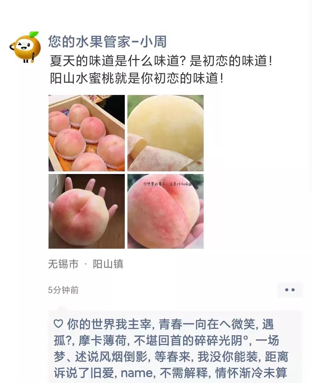 人性营销套路大全,《人性营销》