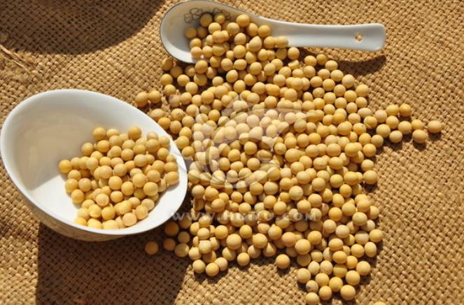 发质差要怎么养,发质太差怎么补救最快