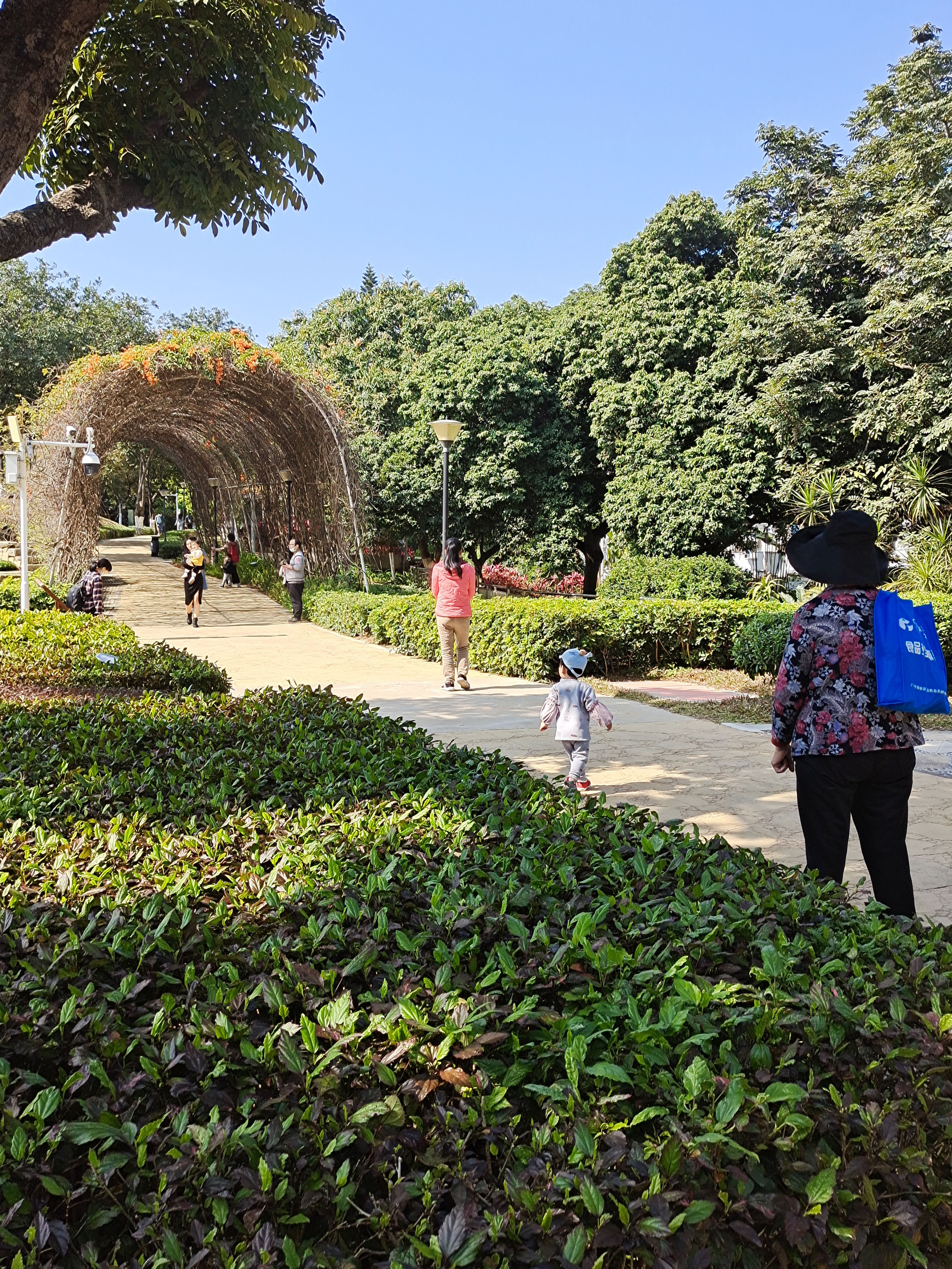 广州儿童公园成亲子乐园,2019广州儿童公园