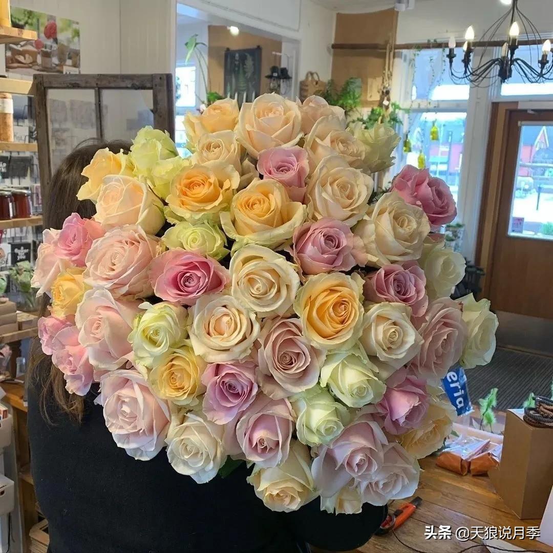 520你最想收到什么玫瑰,520这样的玫瑰你们喜欢吗