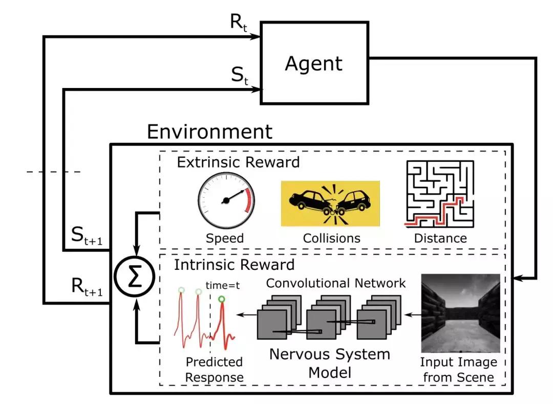 脑科学日报考试,脑科学与教育训练方法