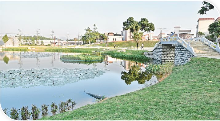 新兴县水台镇未来规划,新兴县水台镇2022年经济发展情况