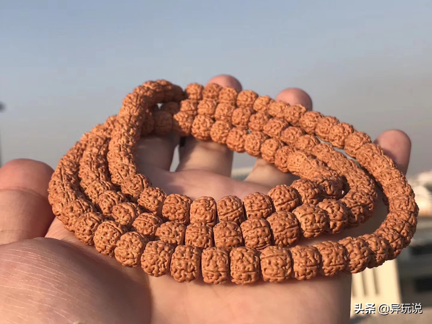 新手推荐什么金刚,骨灰级玩家技巧