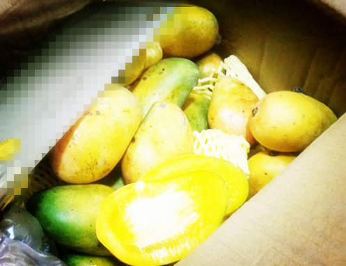 靠借网贷生活的人,靠网贷生存的年轻人