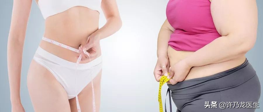 喝水也长肉什么原因,喝水就长肉的原因