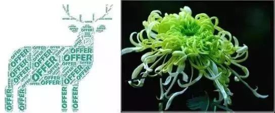 留学生必备黑话,留学最全日常用语