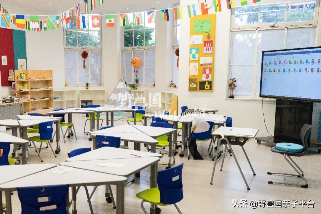 一年20万学费的清澜山学校,都在学些什么?