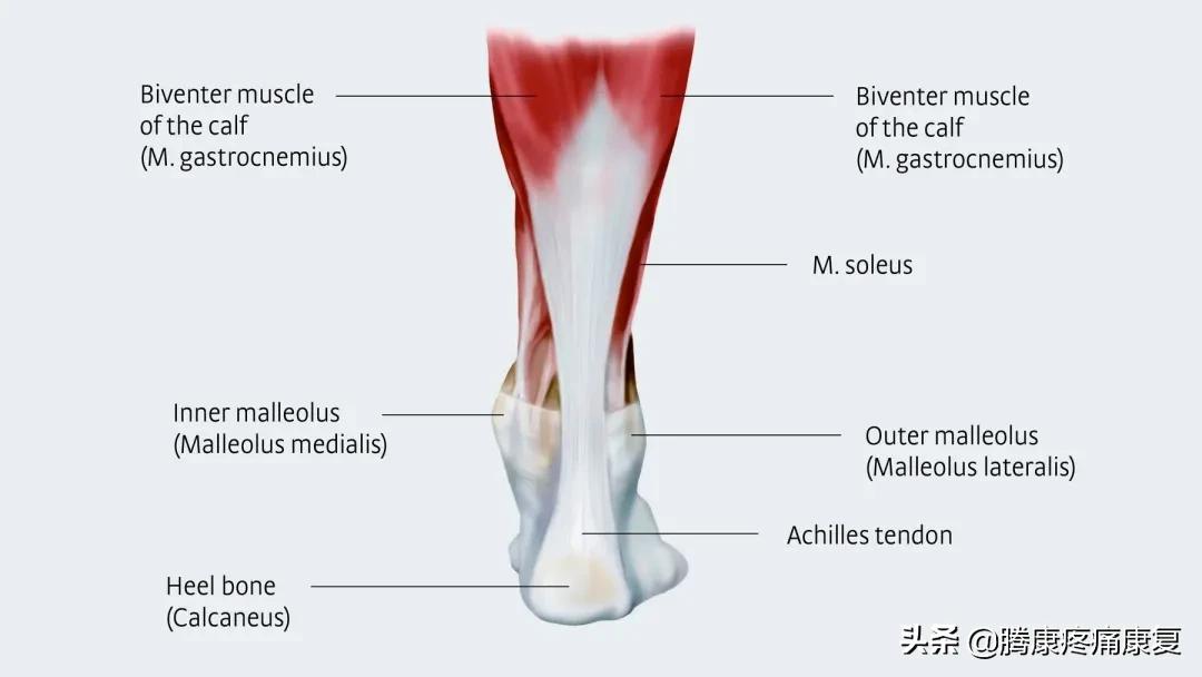 跟腱炎如何预防,跑步怎样预防跟腱炎