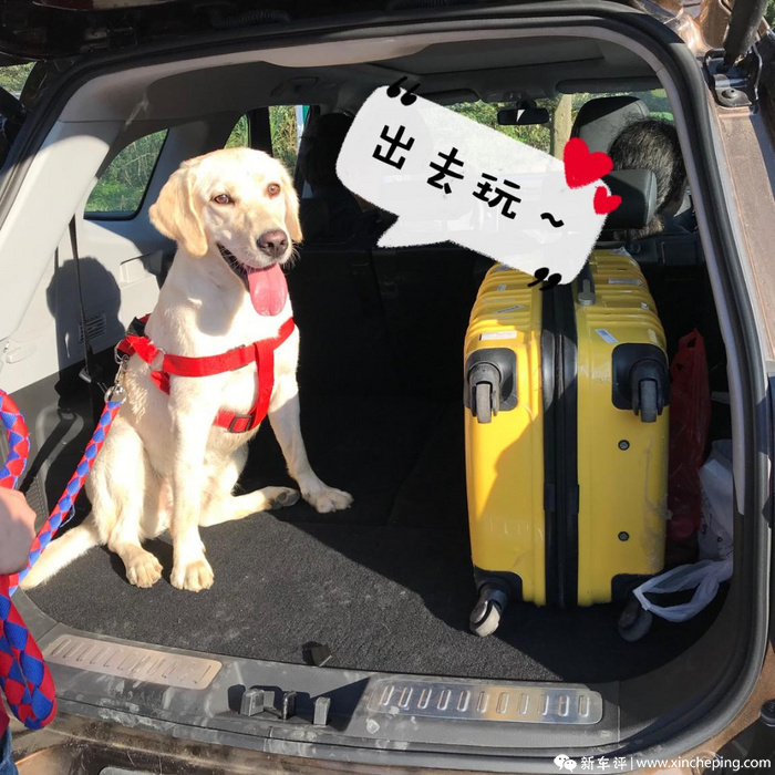 女司机瑞虎8,女司机开奇瑞瑞虎8车视频